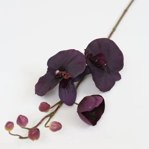Inspire Me! Home Decor Deep Purple Phalaenopsis Orchid Stem