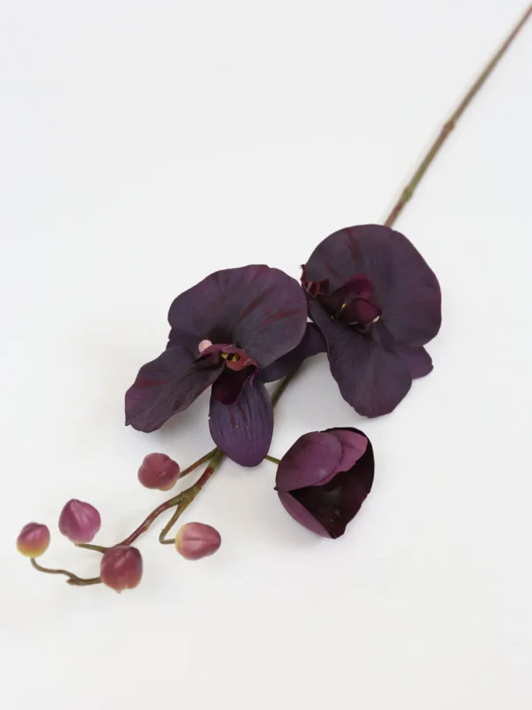 Inspire Me! Home Decor Deep Purple Phalaenopsis Orchid Stem