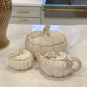 Inspire Me! Home Decor Dolomite Pumpkin Collection ( 3 Sizes And Shapes Available ) KITCHEN