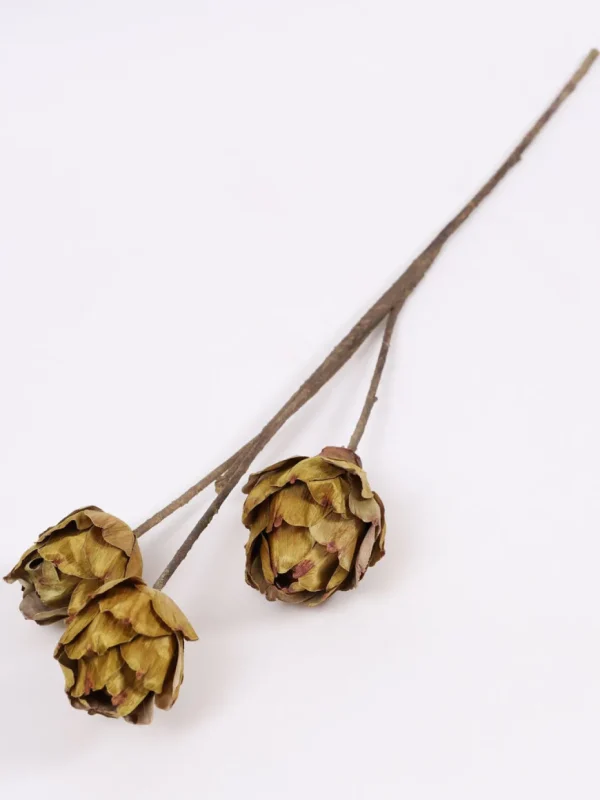Inspire Me! Home Decor Dried Green Artichoke Stem