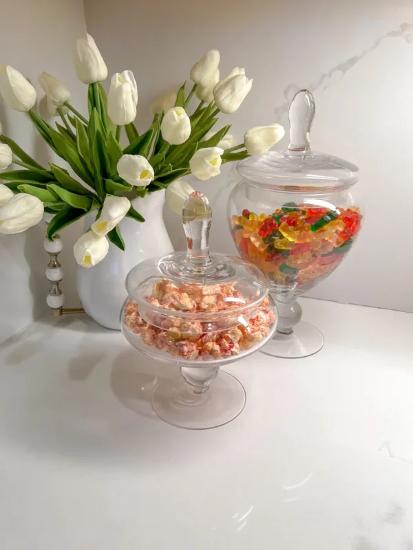 Inspire Me! Home Decor Glass Apothecary Jar With Lid (2 Sizes) Jars