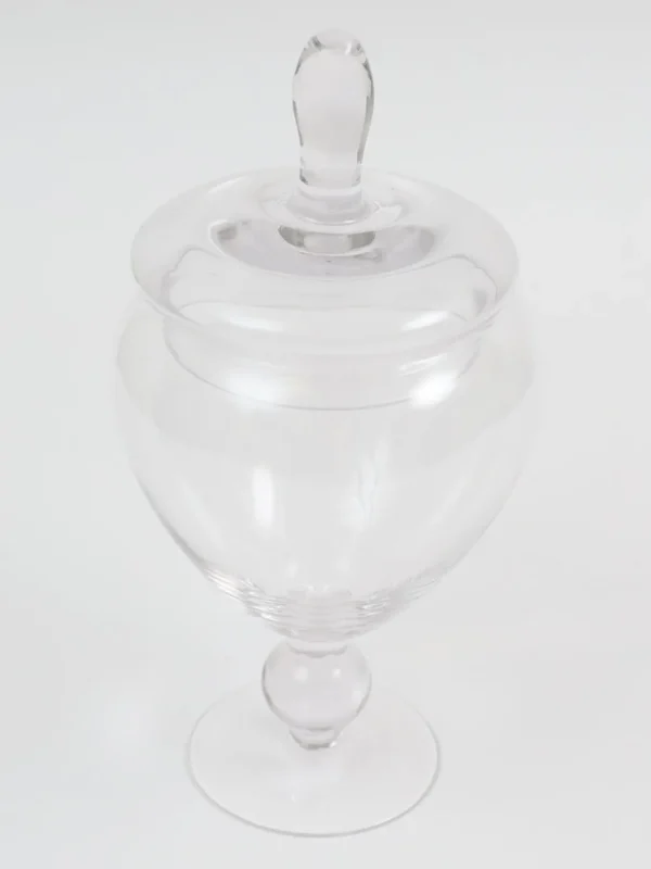 Inspire Me! Home Decor Glass Apothecary Jar With Lid (2 Sizes) Jars