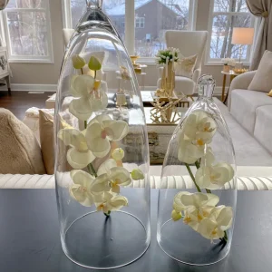 Inspire Me! Home Decor Glass Cloche (2 Sizes)
