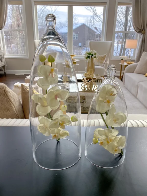 Inspire Me! Home Decor Glass Cloche (2 Sizes)