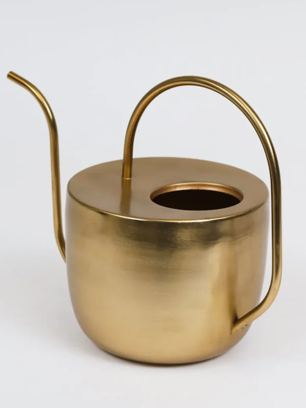 Inspire Me! Home Decor Gold Watering Can