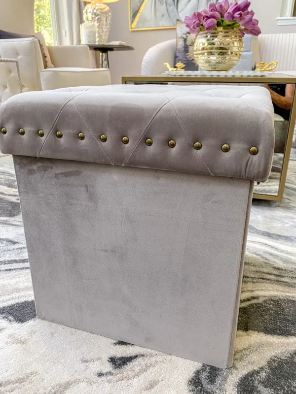 Inspire Me! Home Decor Gold Anastasia Storage Ottoman (4 Colors)