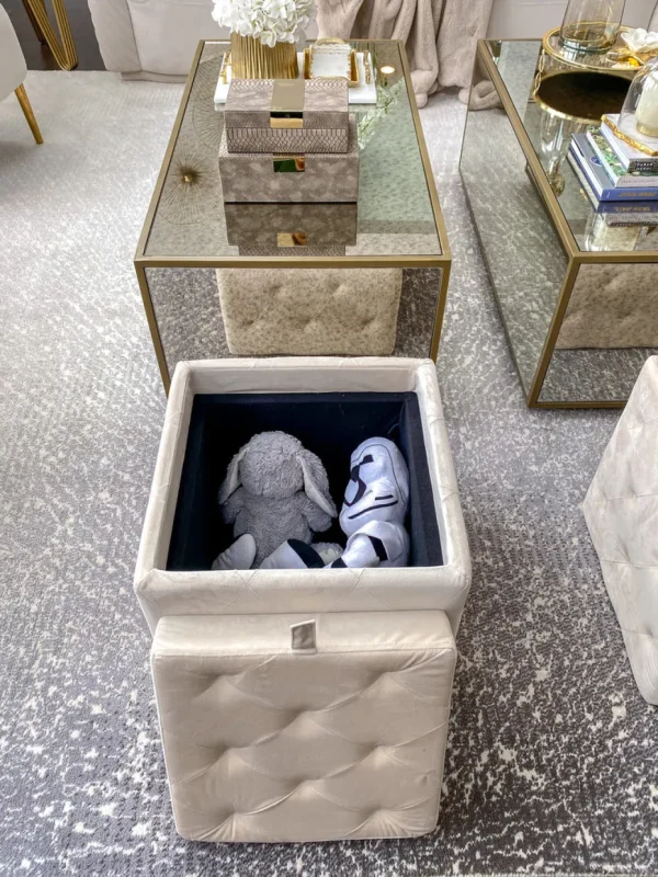 Inspire Me! Home Decor OTTOMANS Genevieve Storage Ottoman (3 Colors)