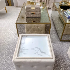Inspire Me! Home Decor OTTOMANS Genevieve Storage Ottoman (3 Colors)