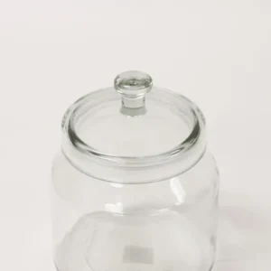 Inspire Me! Home Decor Oversized Glass Jars (3 Sizes)