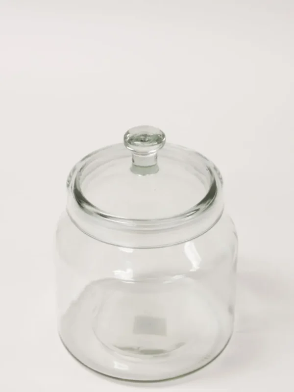 Inspire Me! Home Decor Oversized Glass Jars (3 Sizes)