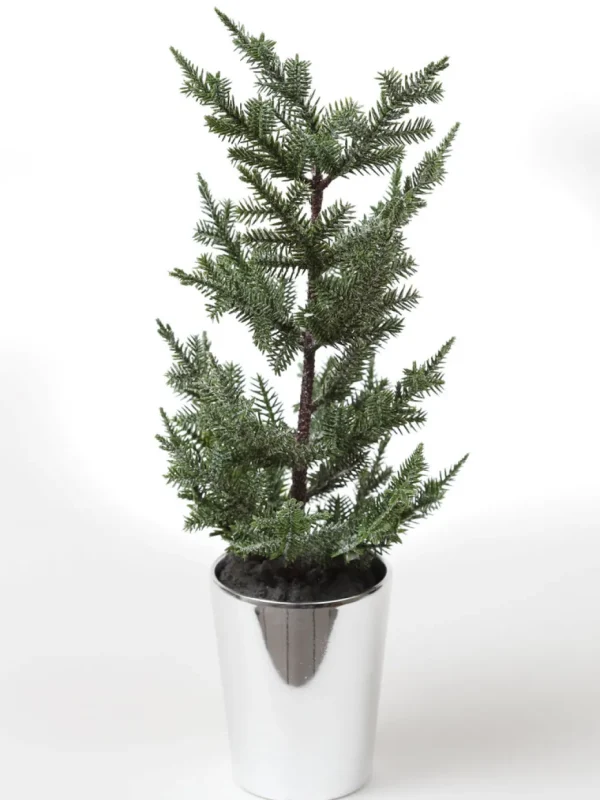 Inspire Me! Home Decor Potted Pine Tree (3 Styles)