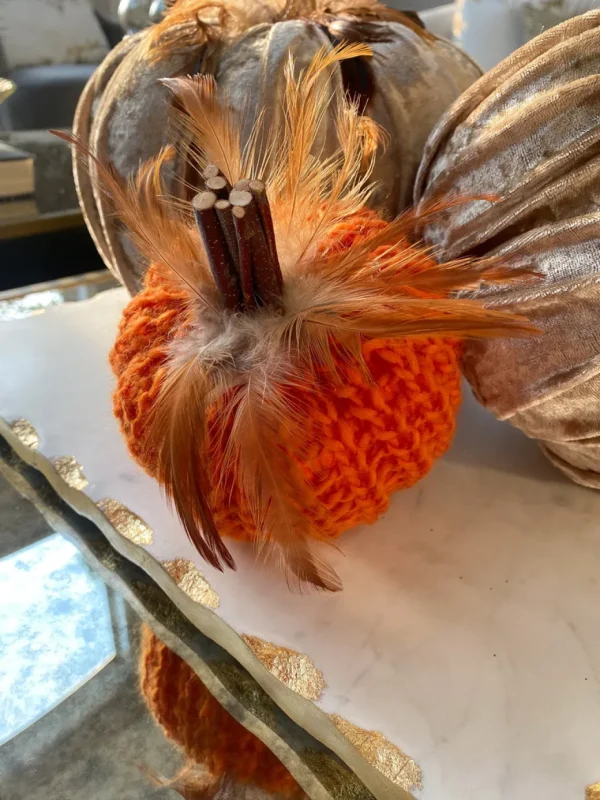 Inspire Me! Home Decor SEASONAL Orange Crochet Pumpkin With Feathers And Wood Stem