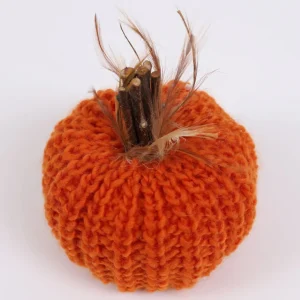 Inspire Me! Home Decor SEASONAL Orange Crochet Pumpkin With Feathers And Wood Stem