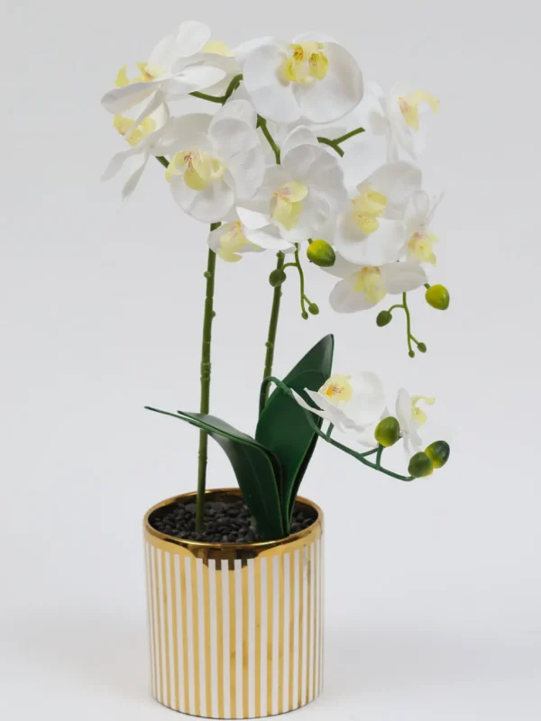 Inspire Me! Home Decor White Potted Faux Orchid In Gold And White Vase