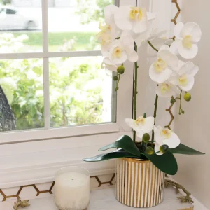 Inspire Me! Home Decor White Potted Faux Orchid In Gold And White Vase
